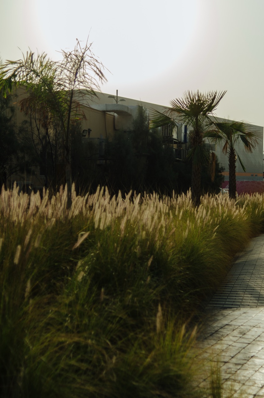 Превью Dubai 2022